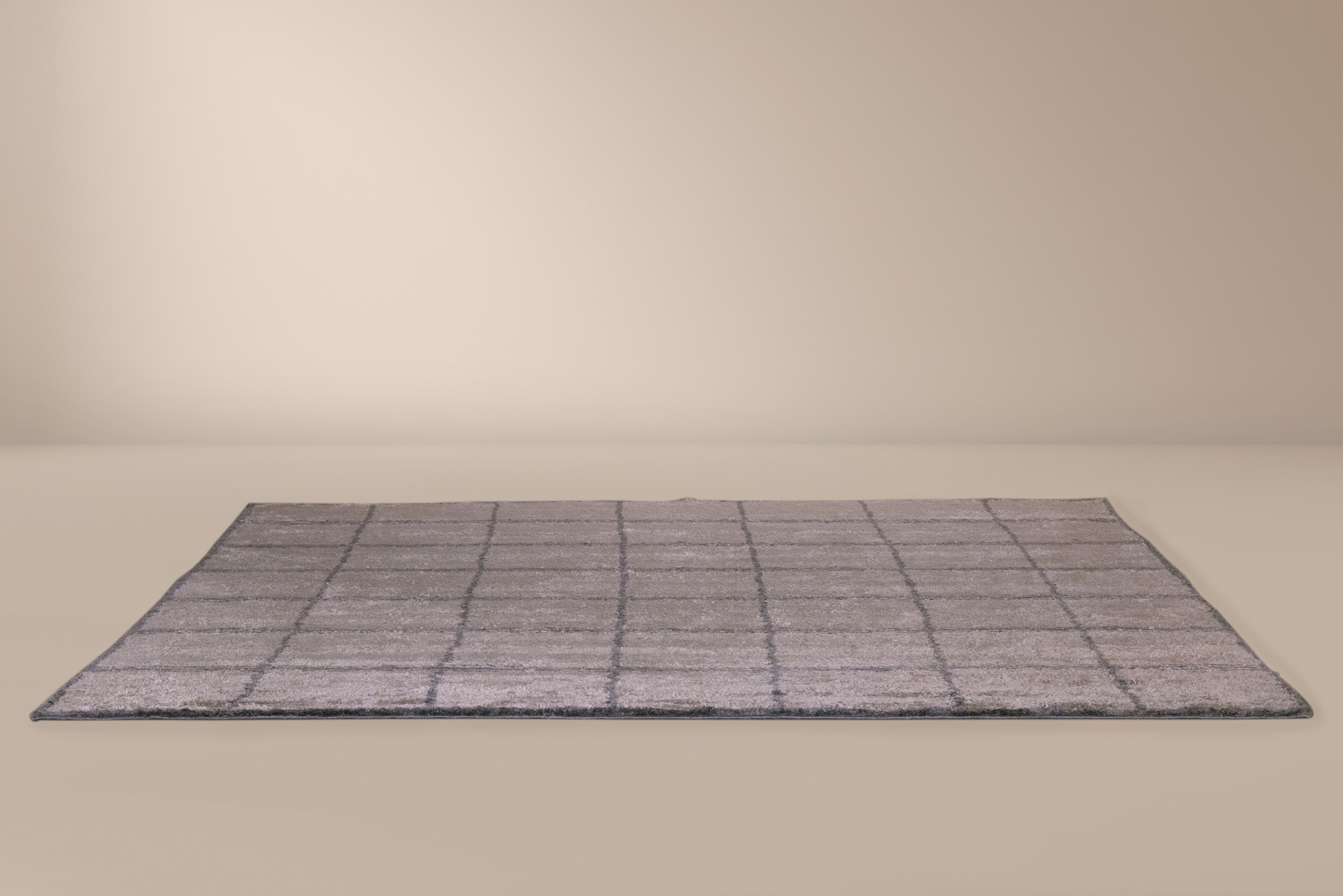 project-detail2-banner1